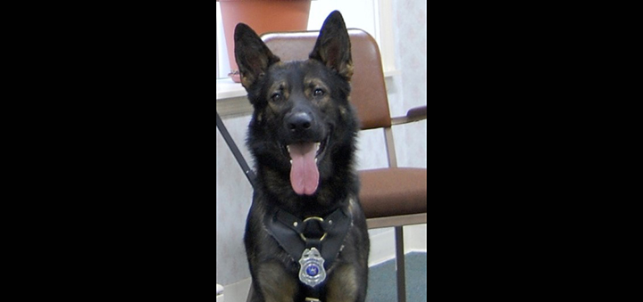 Norwich K9 Remembered For Service And Dedication To Chenango County